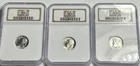 Blast White, Superb Gem Set Of 1949-PDS NGC MS 67 Roosevelt Dimes, Free SH