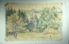 Watercolor Landscape Forest Trees in the Background Mountain Range Signed