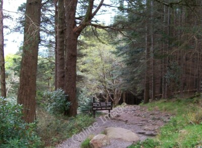 Photo 6x4 Warning to users of the riverside path below Craignagore Bridge c2010