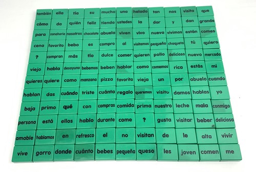 Spanish Espanol Language Words Teaching Blocks 132 Pieces