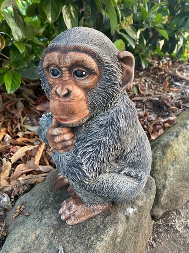 Estatua de mono chimpancé adorno animal concreto cemento jardín hecho en Australia - Imagen 7 de 7