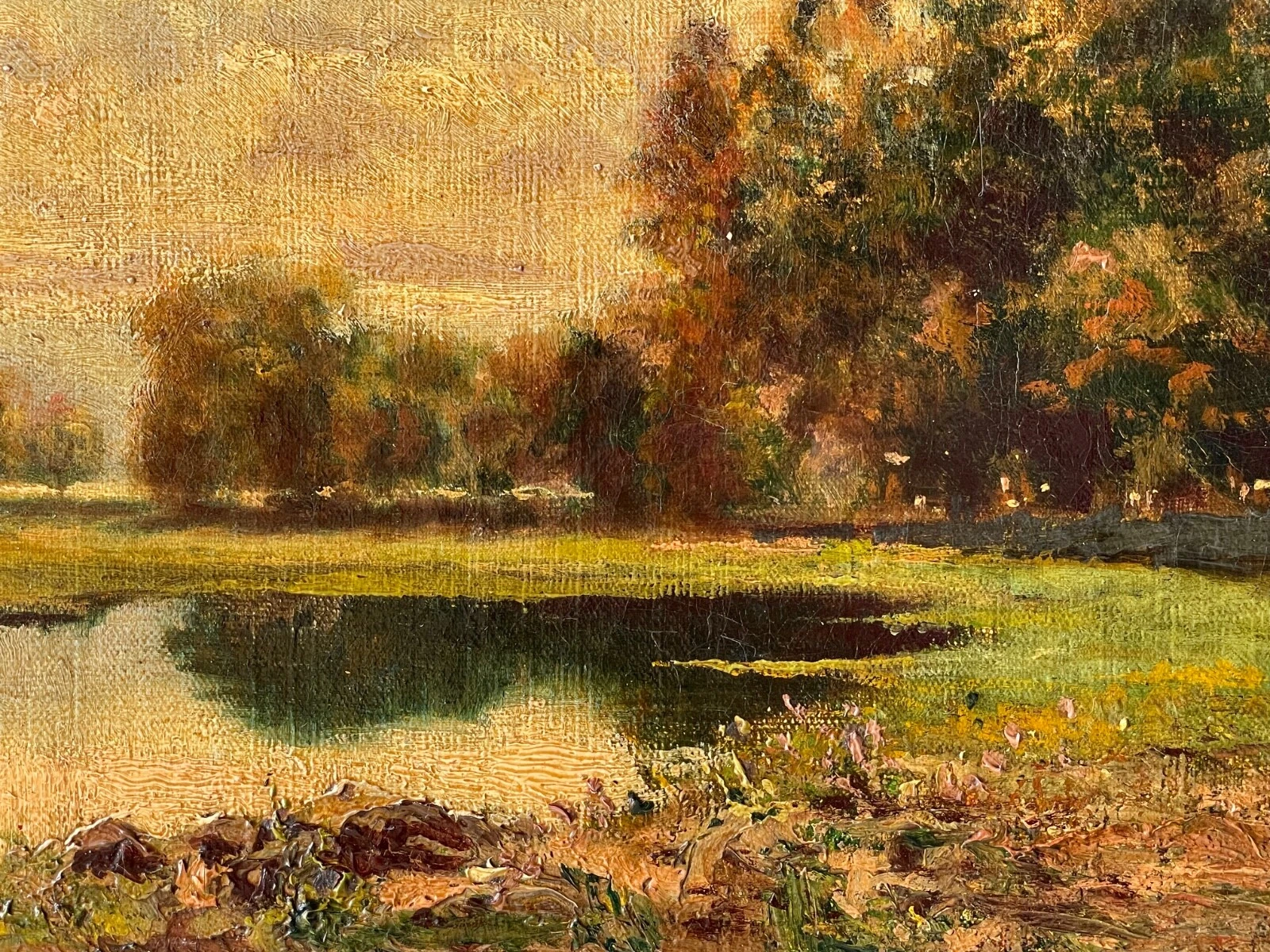 Picture 6 of 18