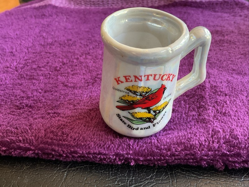 Vintage Lipco Lusterware Kentucky State Bird Souvenir Toothpick Holder•Taiwan