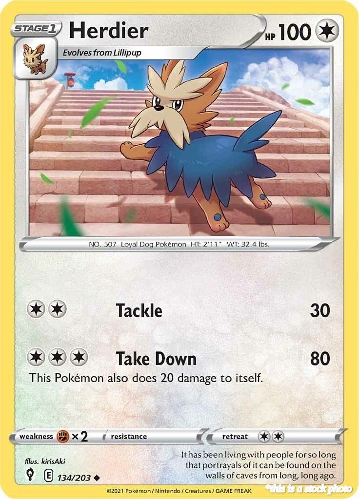 Herdier SWSH07 134/203 Pokémon Uncommon NM