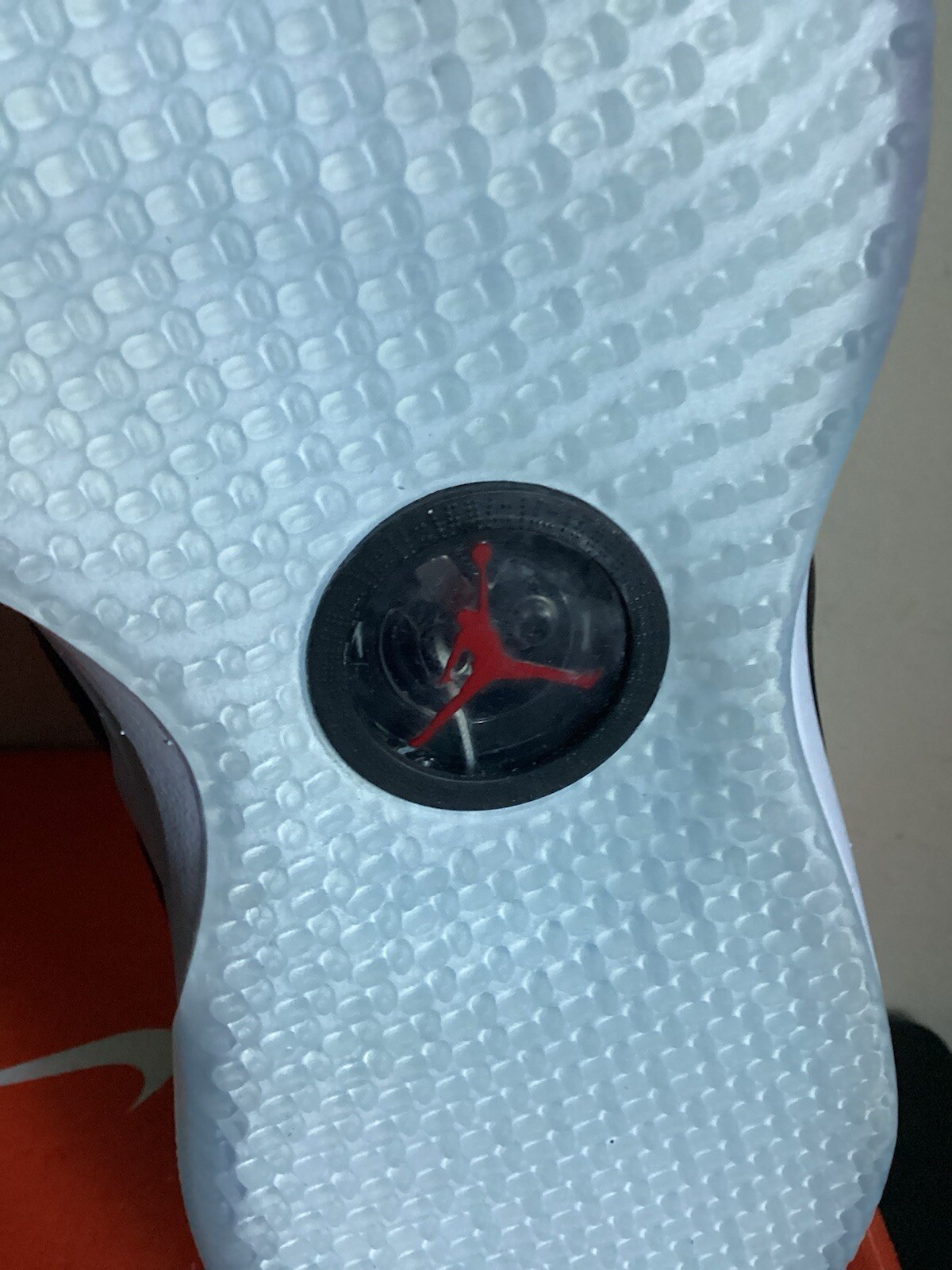 Foto 15 di 18