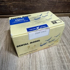 DENTAL Tooth ORTHODONTIC MODEL WITH BRACKETS & WIRE KILGORE NISSIN D1DP-UMI.5