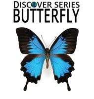Xist Publishing | Butterfly | Buch | Englisch (2023) | Xist Publishing