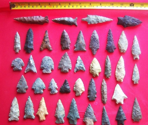 Colorado Collection Lot