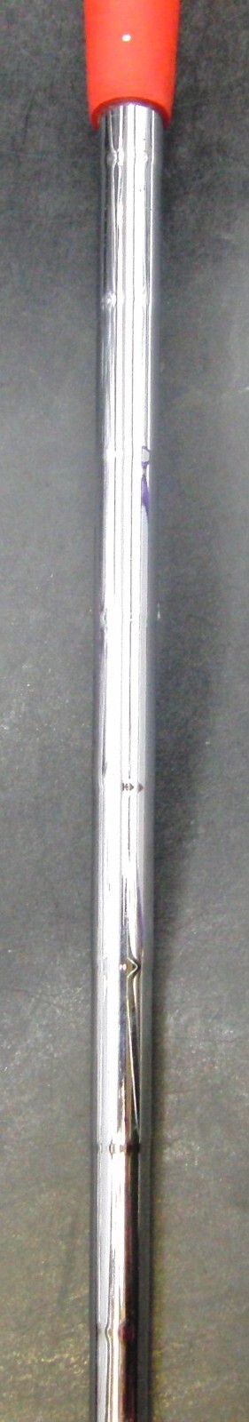 Picture 11 of 11