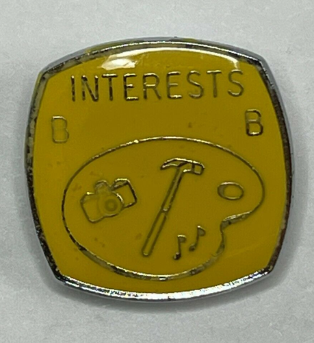 Boys Brigade Interests pin badge 26 x 26 mm - Picture 3 of 3