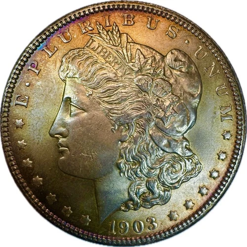 1903 P MORGAN DOLLAR! FLAWLESS SUPERB GEMBU+++BOLD STRUCK GEM! RAINBOW NR #64674