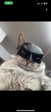 Batman Cat Mask