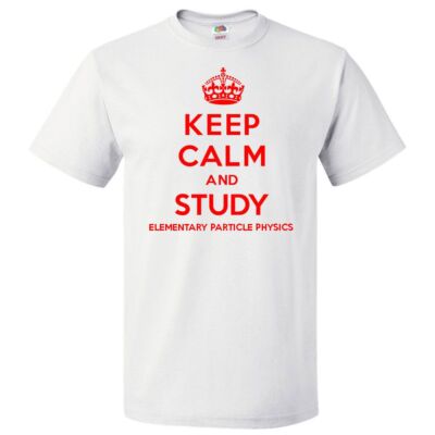 Keep Calm and Study Elementary Particle Physics T shirt Funny Tee