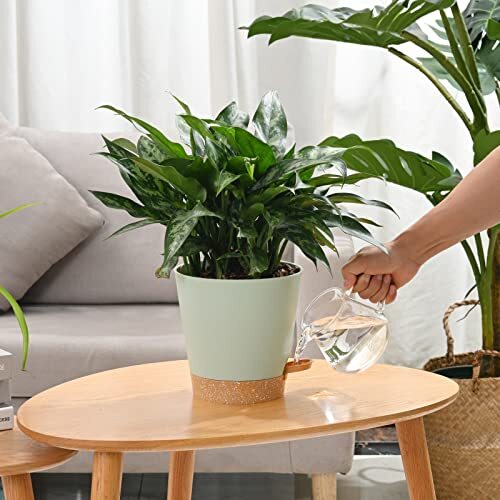6 Pack 5 Inch Self-Watering Planters Flower Plant Pots for Indoor House Plants - Picture 7 of 7