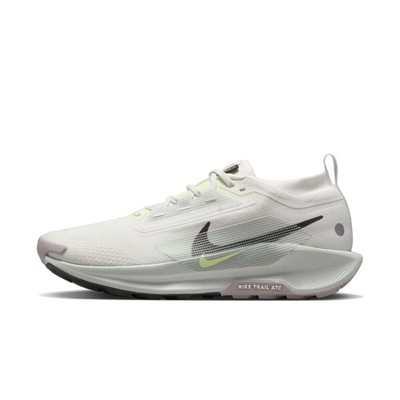 Nike Pegasus Trail 5 GORE-TEX Light Silver Sequoia - FQ0908-102