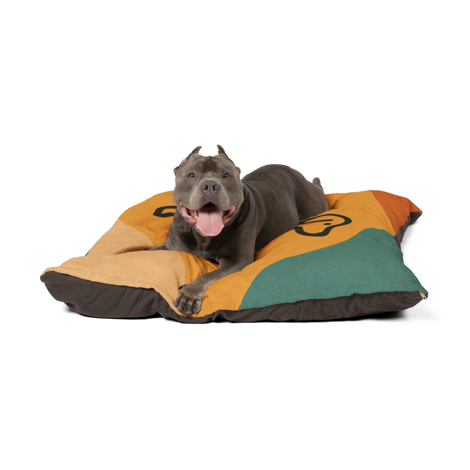 Stylized Pet Bed | Modern Color Block Dog Pillow