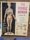 1960 Renwal The Visible Woman - See Through Skeleton - Unused In Box — photo 2