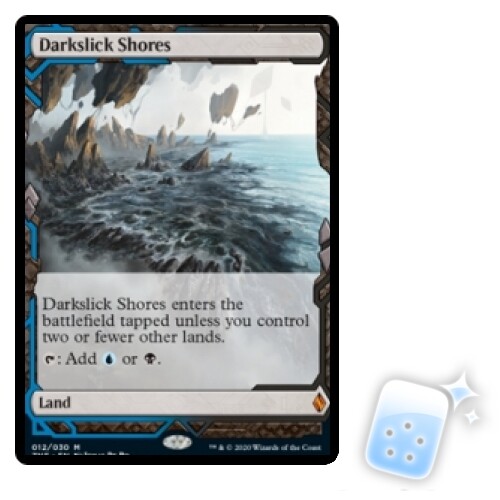 DARKSLICK SHORES Zendikar Rising Expeditions Magic MTG MINT CARD - Picture 1 of 1