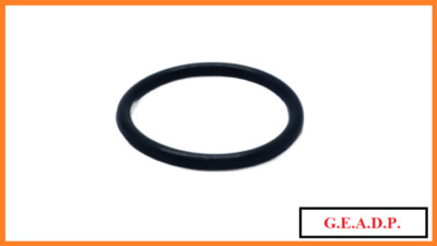 2x Dichtung O-Ring passend für Steinbach Kompakt Solarkollektor Loop Nr: 049919