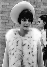 Actress Natalie Wood in Classic 1966 Film Penelope Picture Photo Print 8.5x11
