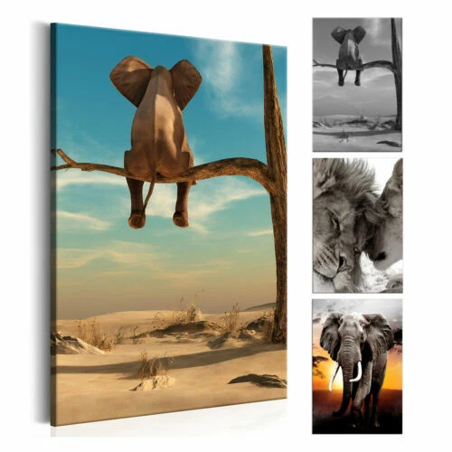 Deko-Bilder & -Drucke mit Panorama Wandbild mit Tier-Thema