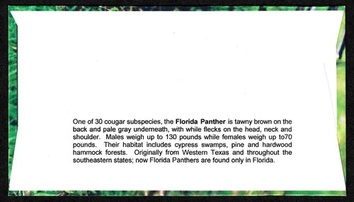 USA, SCOTT # 4099, RARE SET OF 10 BGC FDC COVERS SOUTHERN FLORIDA WETLAND 2006 - Picture 14 of 21