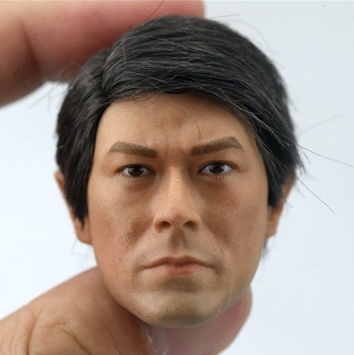 Figura modelo 1/6 Louis Koo actor asiático hombre escultura de cabeza ajuste 12" hágalo usted mismo Hot Toys - Imagen 14 de 16
