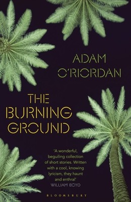 The Burning Ground by Adam O'Riordan PAPERBACK 9781408864791