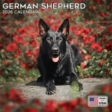 German Shepherd Calendar 2026 - Dog Breed Wall Calendar - Made in the USA!