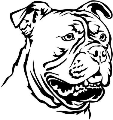OLD ENGLISH BULLDOG Aufkleber - Autoaufkleber - Old English Bulldog Kopf #49