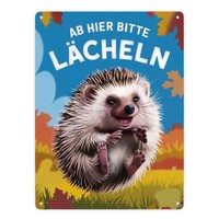FröHlicher Igel - Ab Hier LäCheln Metallschild XXL In 28X38 Cm
