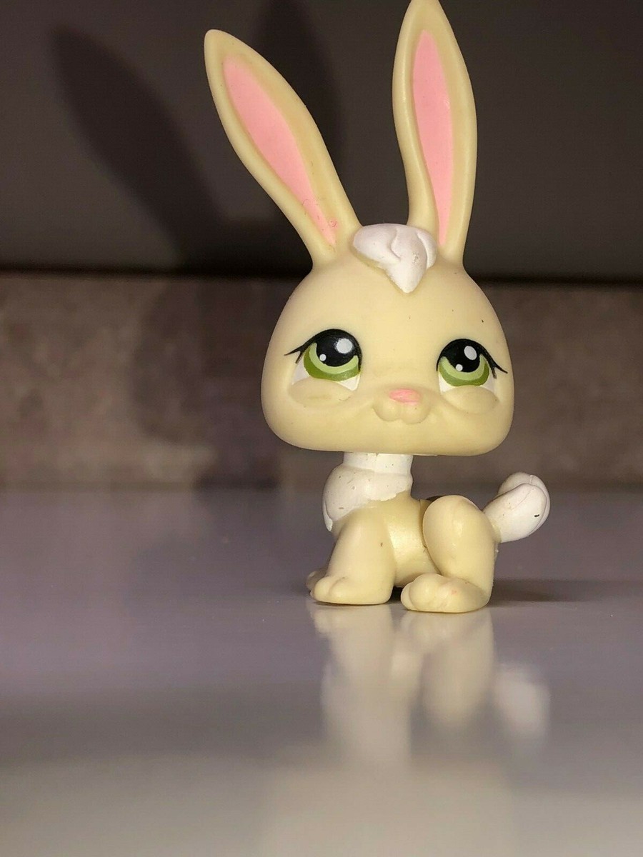 y⭐︎Rabbit FAO Schwarz 12