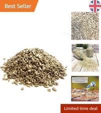 500g Sunflower Hearts Bird Food – High-Energy Nutrition for All Birds 20.98 per kilo