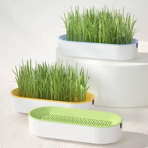 Cat Grass Planting Box Plant Growing Kit Hydroponic Cat Grass Soil-Free Planter. - Picture 4 of 15