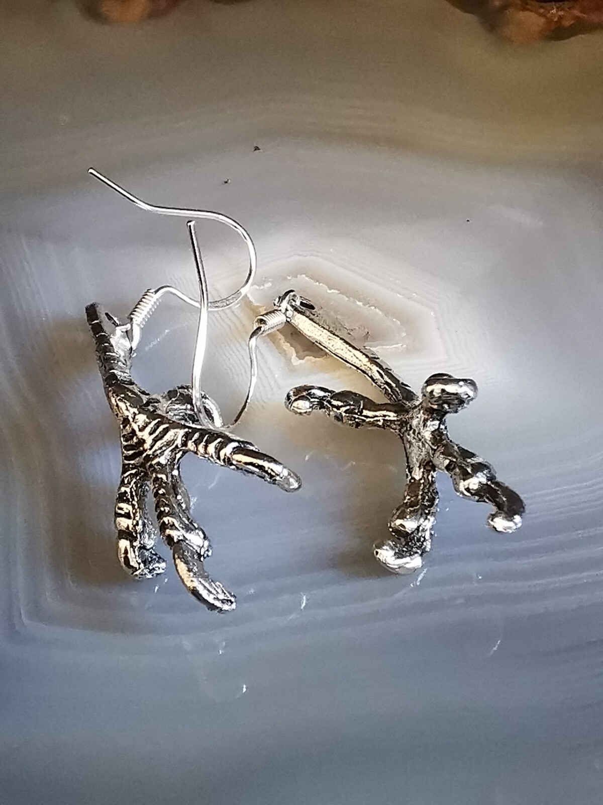 Picture 5 of 5