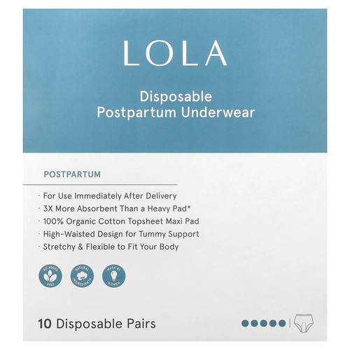 Disposable Postpartum Underwear, 10 Pairs