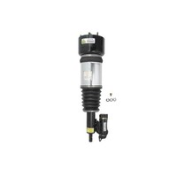 Luftfederbein Arnott Europe AS-2784 Links