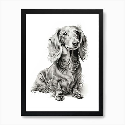 Dackel Hund, Strichzeichnung 2 Kunst P gerahmtes Wandbild Poster Leinwanddruck Bild