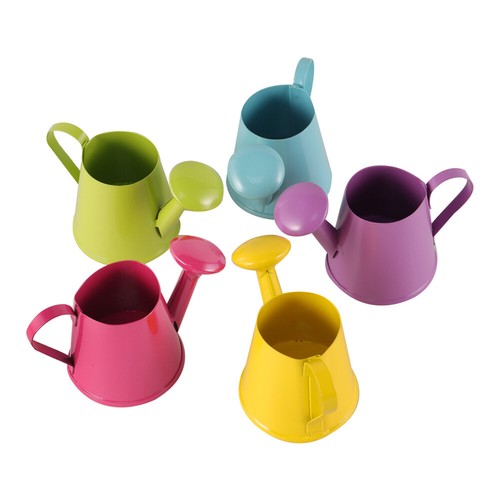 Bollitore Irrigazione Prime Multifunzionale Decorativo Durevole 5pz Giardinaggio