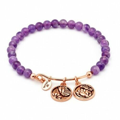 Chrysalis Tranquility Transformation Amethyst Expandable Bangle crbho106rg - Picture 1 of 1