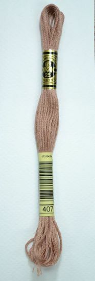 DMC Stranded Nombre Shade Cotton 407