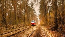 Landscape nature trees leaves vehicle tram forest branch Custom Gaming Mat Desk