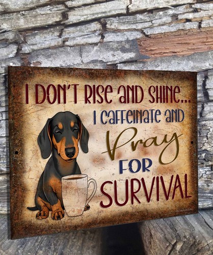 Dachshund I Don't Rise And Shine Coffee 9" x 12" Funny Metal Dog Wall SIGN - Picture 7 of 10