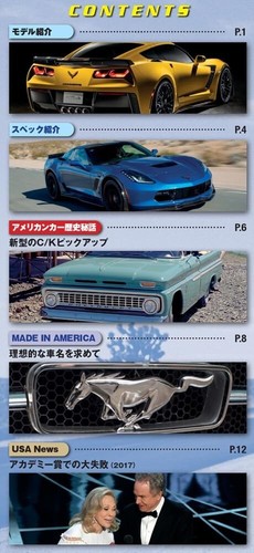 American Car Collection #94 Chevrolet Corvette Z06 car 1/43 DeAGOSTINI model - Picture 4 of 8