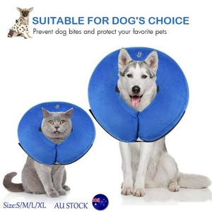 dog comfort cone