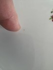 Foto 5 di 14