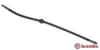 Brembo Bremsschlauch T 61 036 FüR Peugeot Berlingo Xsara CitroËN Partner 1007 N1