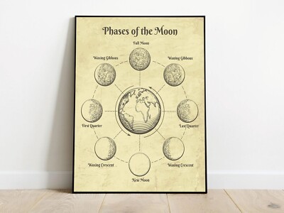 Vintage Moon Phases Chart, Canvas Print, Stars, Space, Sun, Moon
