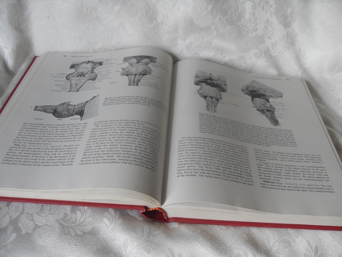 Medical Neurobiology : Neuroanatomical and Neurophysiological
