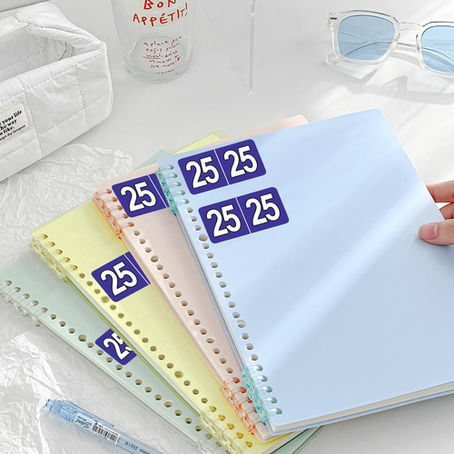500 Pcs 2025 Year Stickers File Folder Labels Self Adhesive Year Labels - Picture 4 of 7